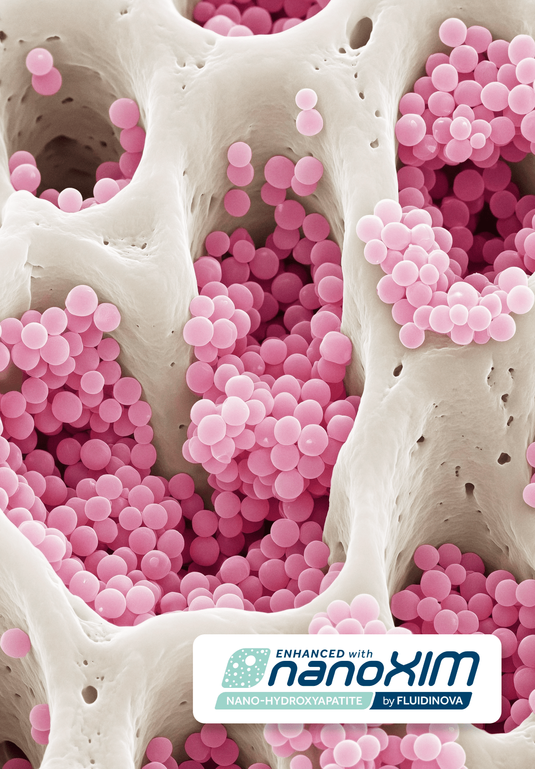 hismile-tooth-armour-zahnpasta-serum-standard image 4